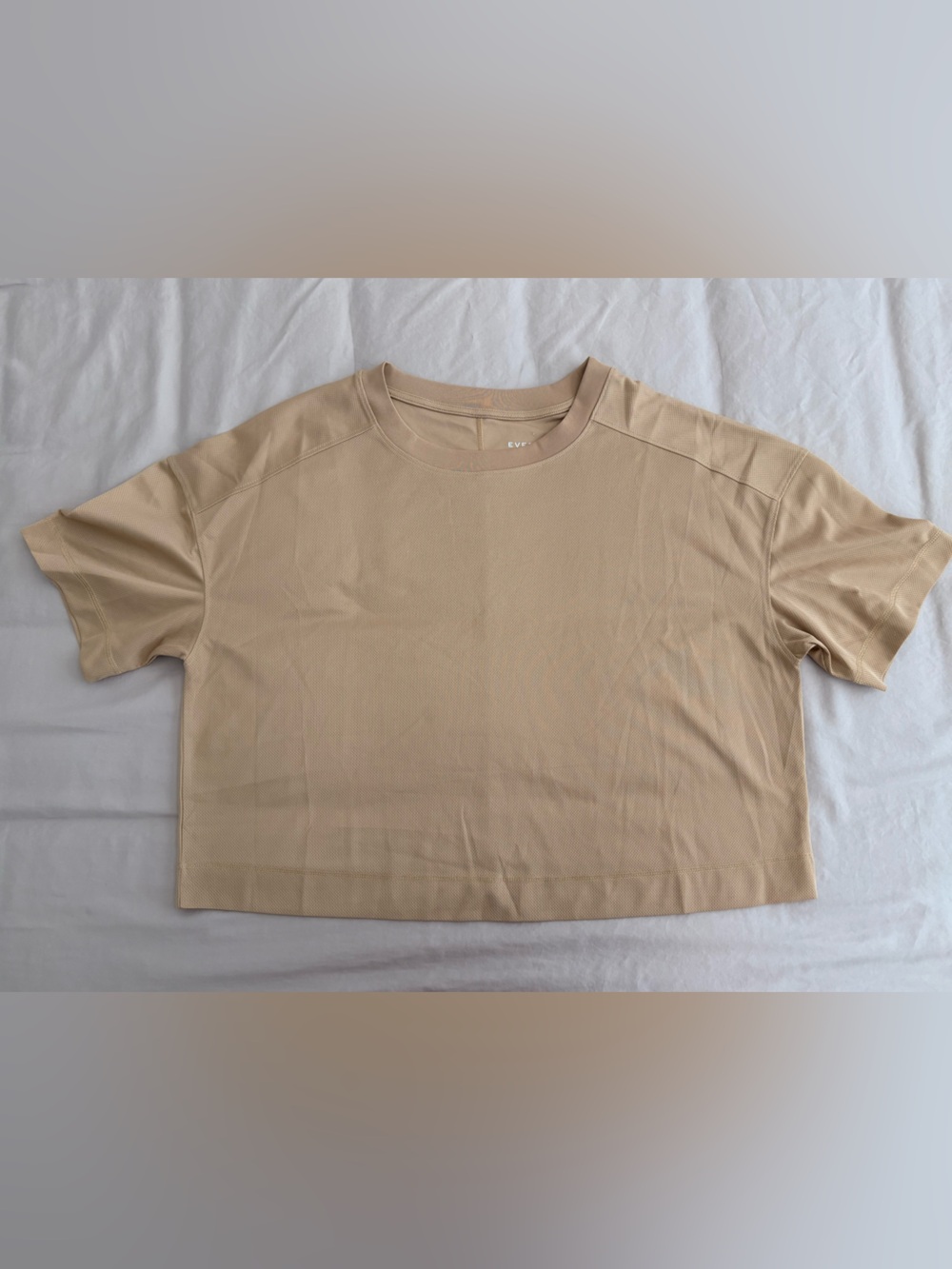 Everlane Neutral Crewneck Cropped Jersey Style Top in Beige
